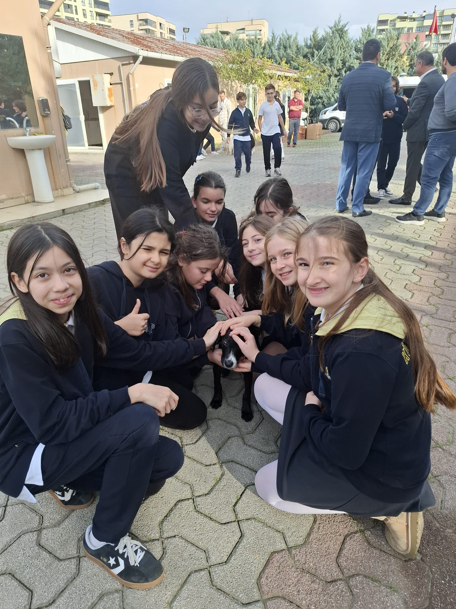 Sancaktepe Hayvan Barınağı2