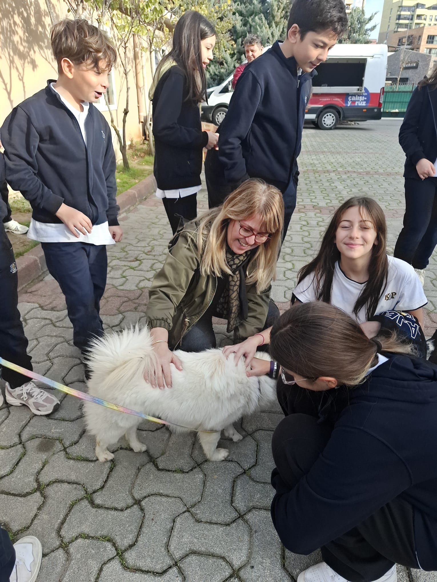 Sancaktepe Hayvan Barınağı3