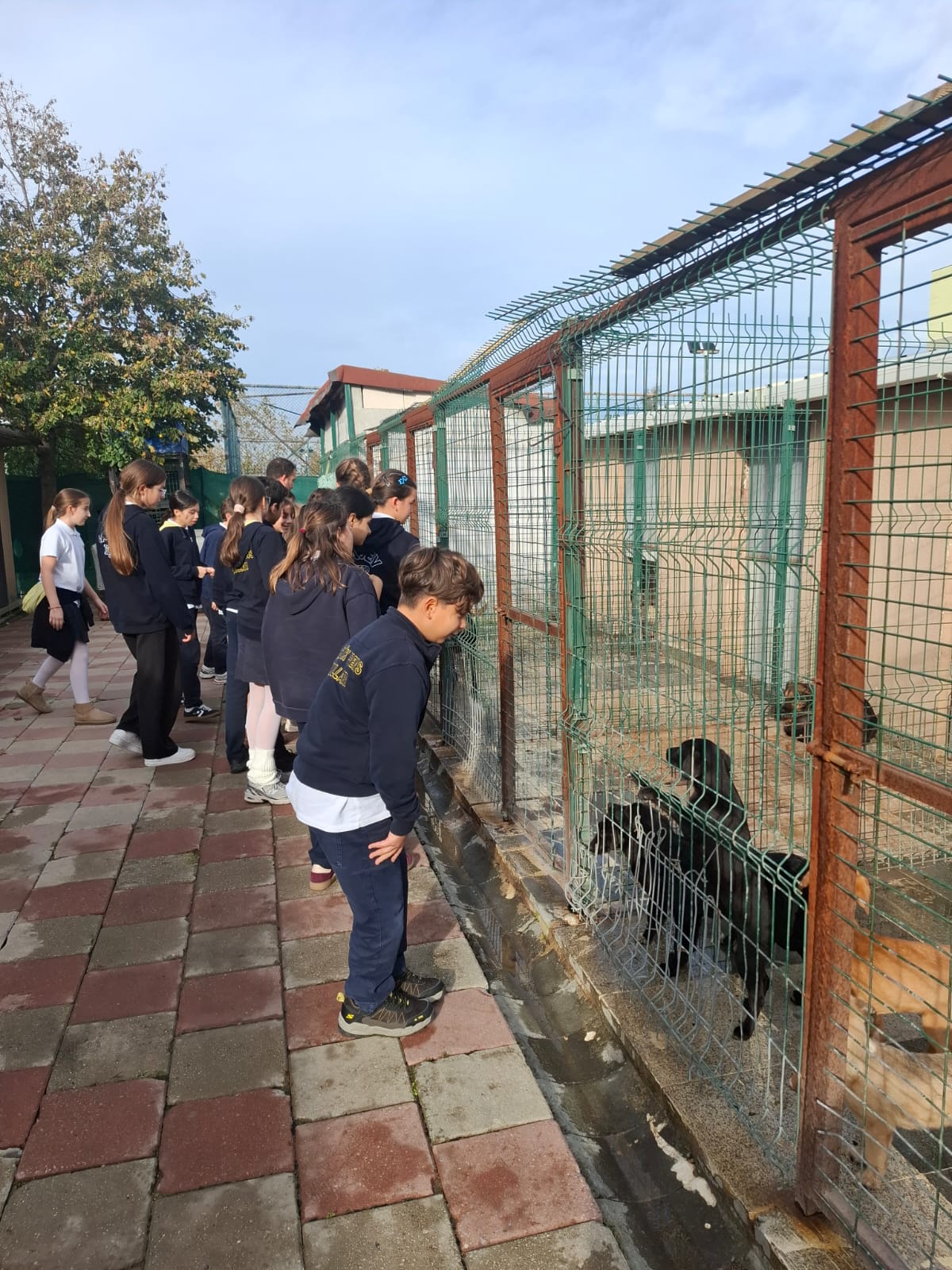 Sancaktepe Hayvan Barınağı4