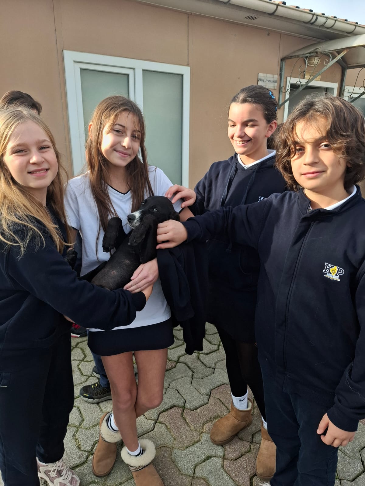 Sancaktepe Hayvan Barınağı5