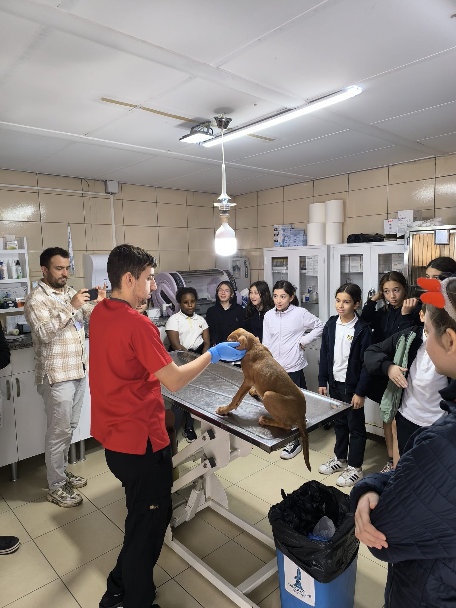 Sancaktepe Hayvan Barınağı8